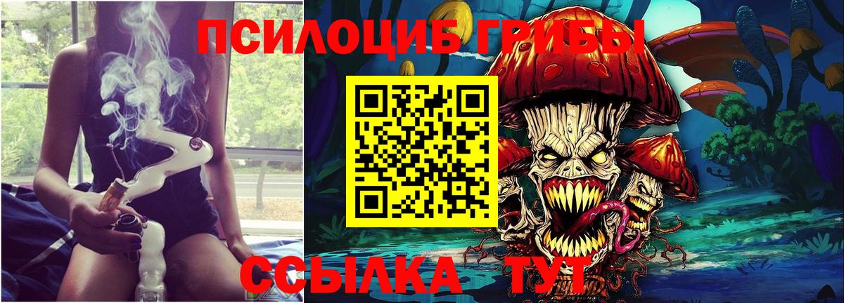 Псилоцибиновые грибы Cubensis Новоалтайск