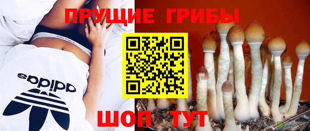 Галлюциногенные грибы мицелий  Псилоцибиновые грибы MAGIC MUSHROOMS  Новоалтайск  продажа наркотиков  Вход с VPN 